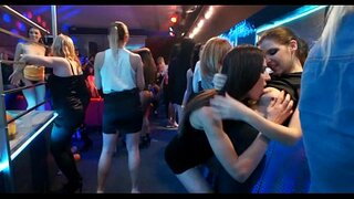 Strring અપ honeys અને hunks જંગલી જરૂર છે